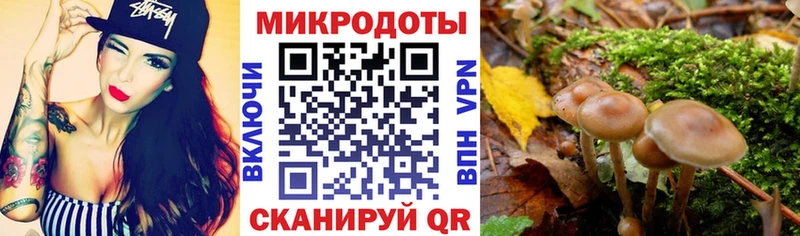 Псилоцибиновые грибы Cubensis  ОМГ ОМГ онион  Россошь 