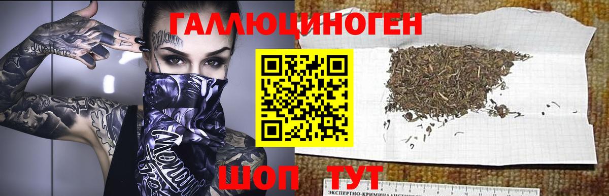 Галлюциногенные грибы GOLDEN TEACHER  Россошь 